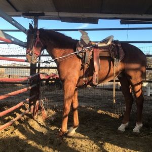 Meet your Posher, Gilberto